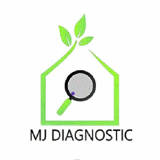 Cropped Mj Diagnostic Diagnostic Immobilier Combourg 512.jpg